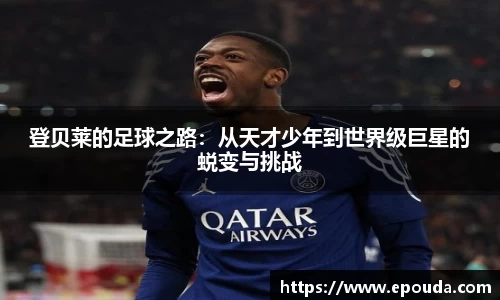 HB火博官方手机入口