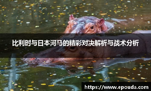 HB火博官方平台